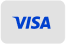 Visa Logo